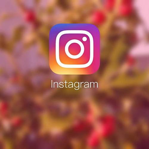 The Importance of Instagram Likes and Why You Should Buy Them